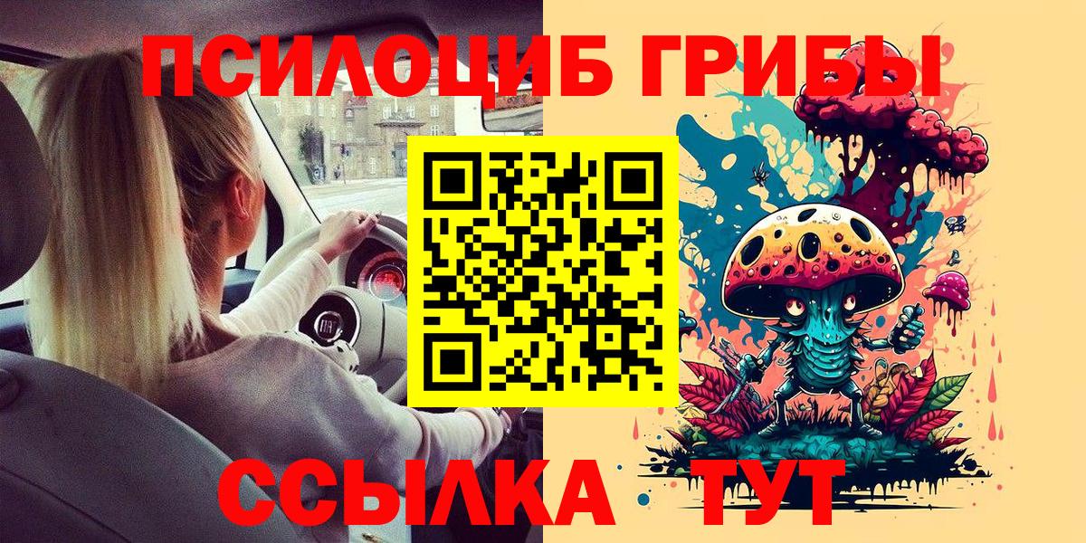 Кашира  Псилоцибиновые грибы Cubensis  Псилоцибиновые грибы мухоморы  Вход с VPN 