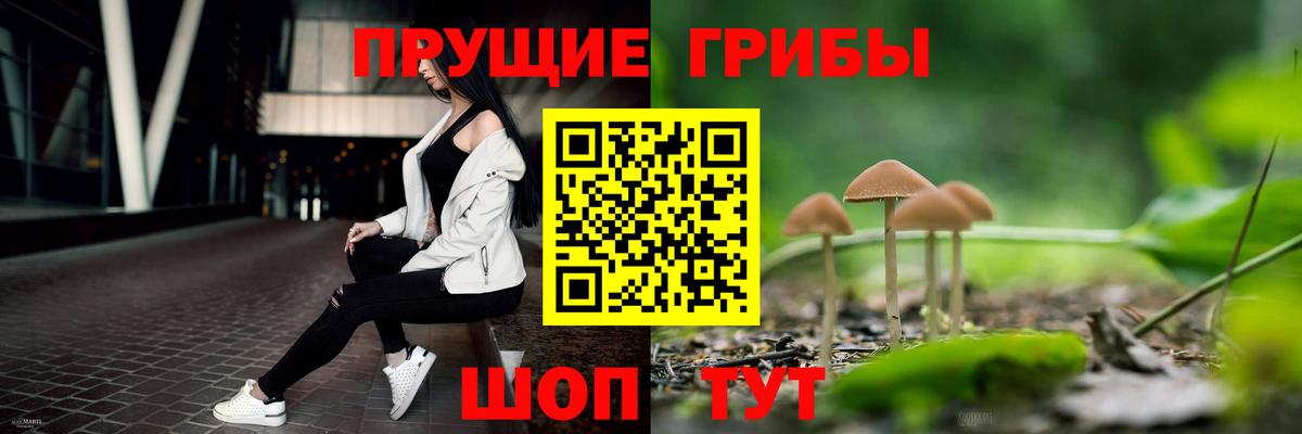 Псилоцибиновые грибы мухоморы Кашира
